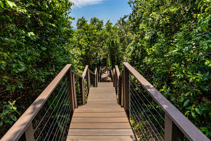 Eva-Last Infinity deska tarasowa